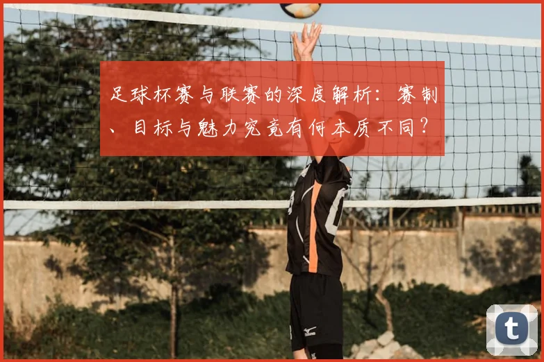 足球杯赛与联赛的深度解析:赛制、目标与魅力究竟有何本质不同?