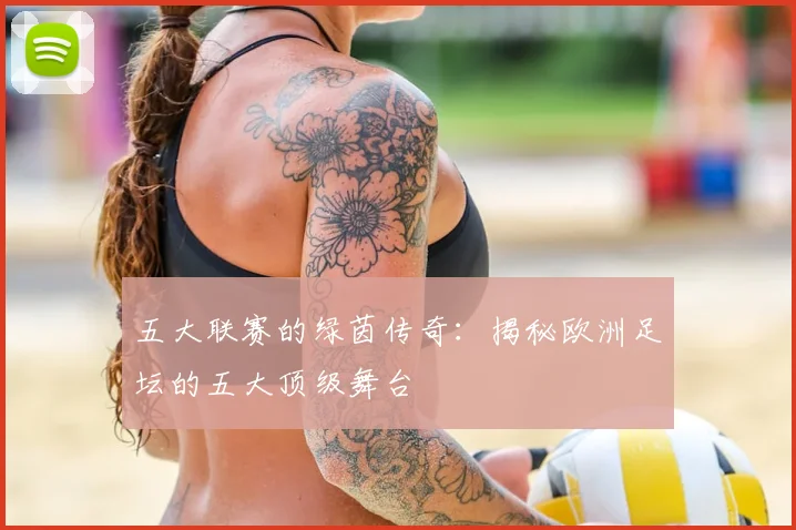五大联赛的绿茵传奇:揭秘欧洲足坛的五大顶级舞台