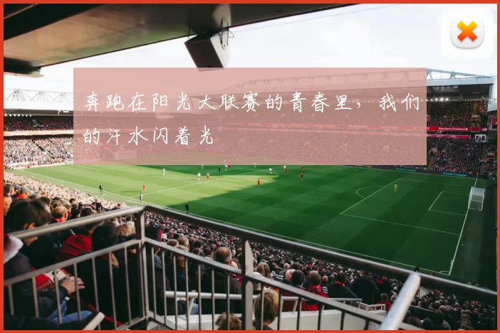 奔跑在阳光大联赛的青春里，我们的汗水闪着光